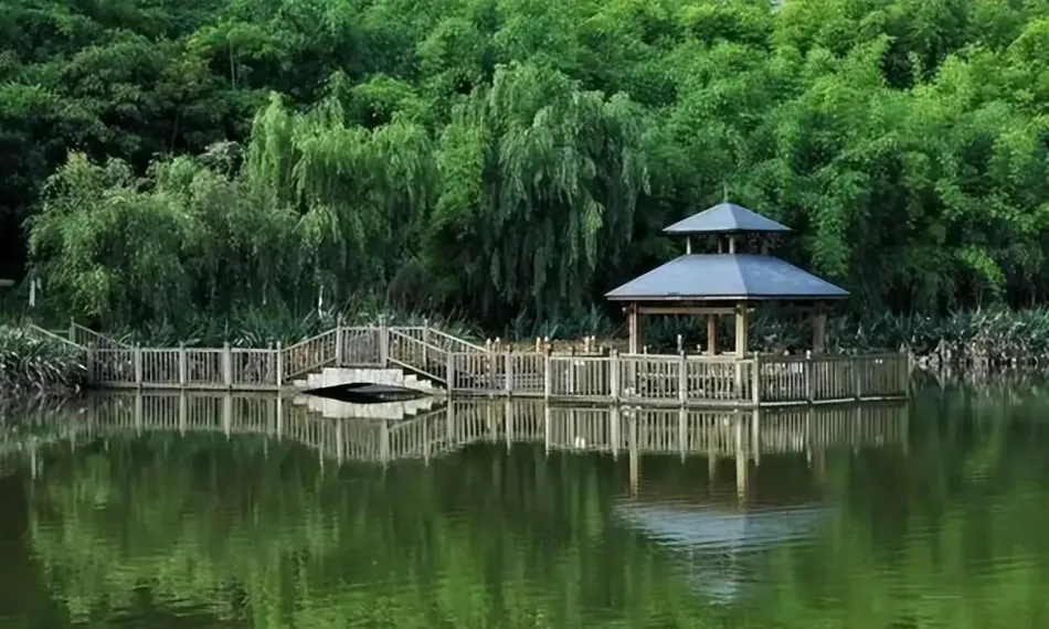 淮南淮南移动宽带